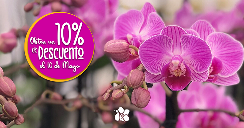 Marketing digital para empresas